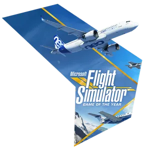 Flight Simulator