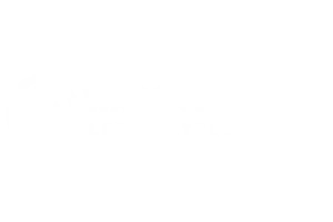 Wargaming